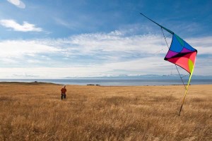 Prism Jazz Sport Kite