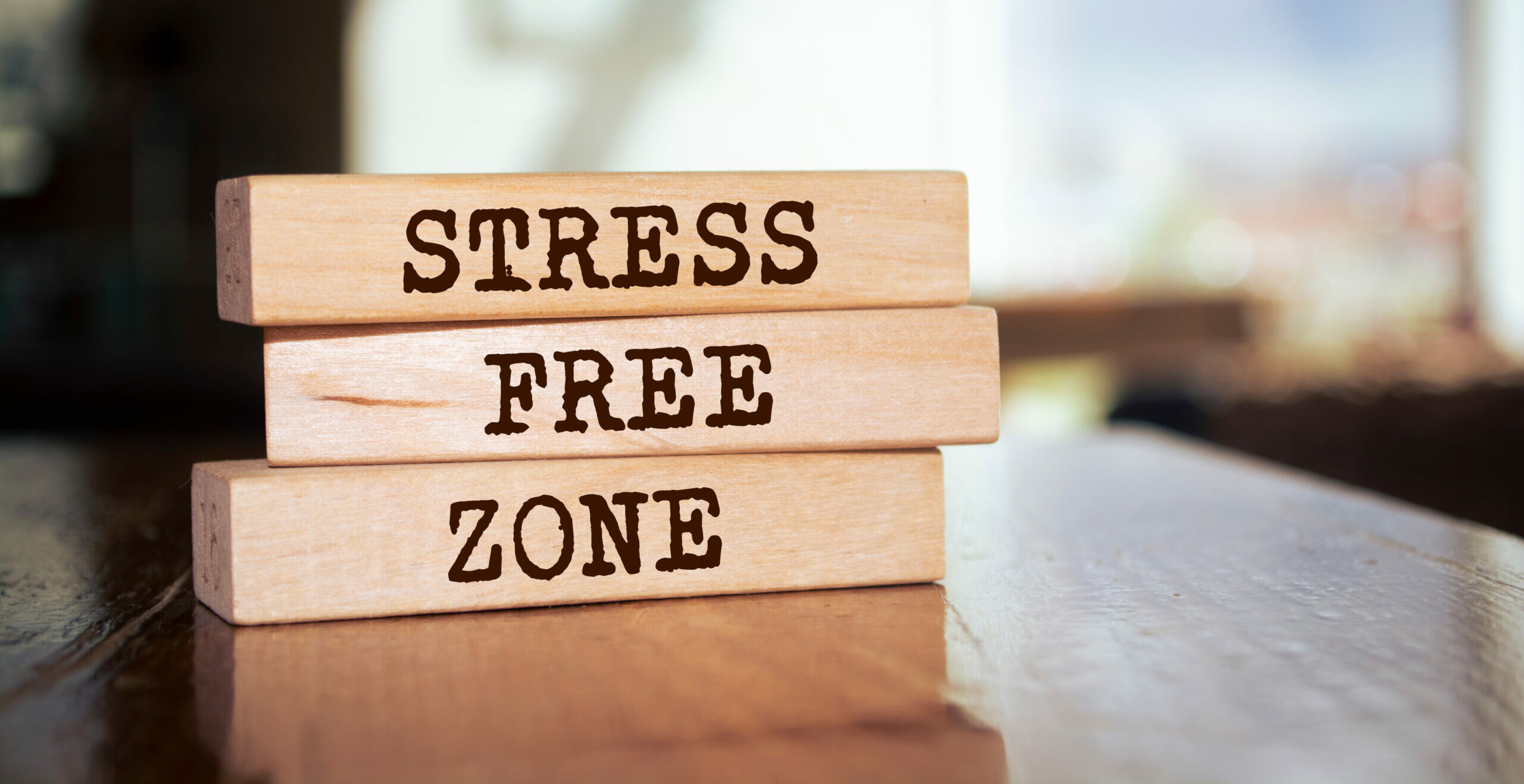 Blocks reading "Stress Free Zone"