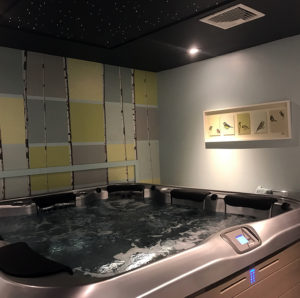 Test Soak Hot Tub Room at Skillful Home Recreation