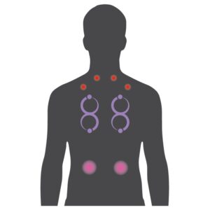 NeckPlus NX JetPak by Bullfrog Spas with adjustable neck, shoulder, and back massage - diagram of back