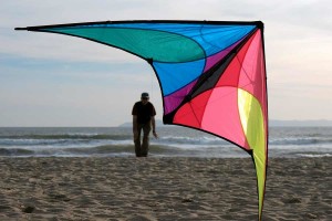 Prism Jazz Sport Kite