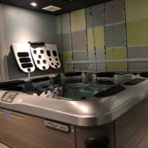 Bullfrog Spas Test Soak Room at Skillful Home