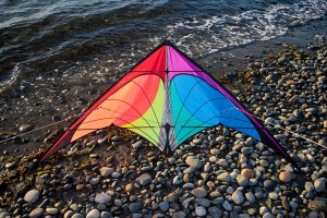 Prism Nexus Sport Kite