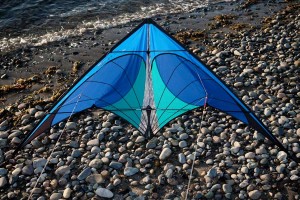 Prism Nexus Sport Kite