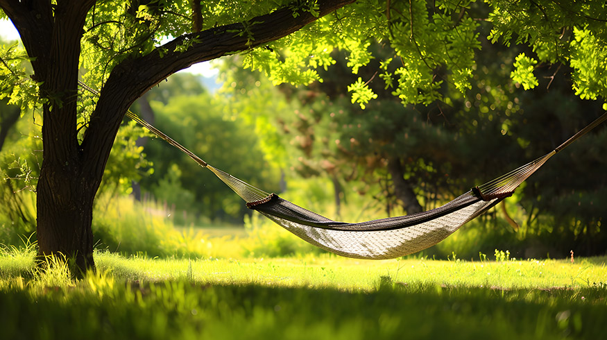 Peaceful BackYard