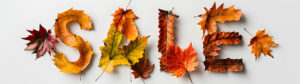 THE SKILLFUL FALL SALE IS ON