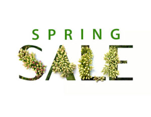 Spring Sale at Skillful Home