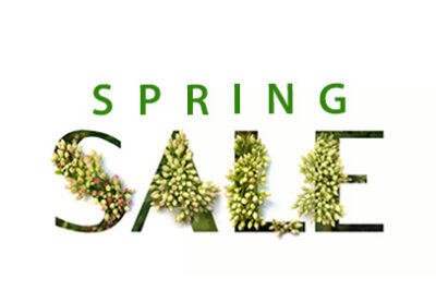Spring Sale on Bullfrog Spas a Skillful Home Recreation in Portland, ME