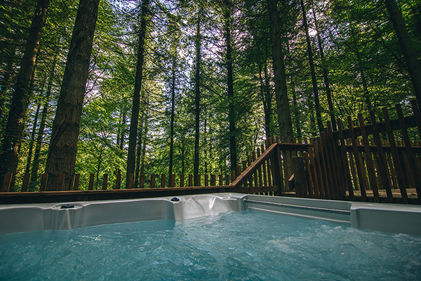 Looking out to the Maine woods from your Bullfrog Hot Tub